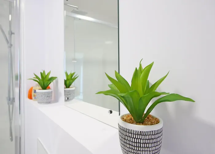 Apartment 46 Luna With Free Parking York