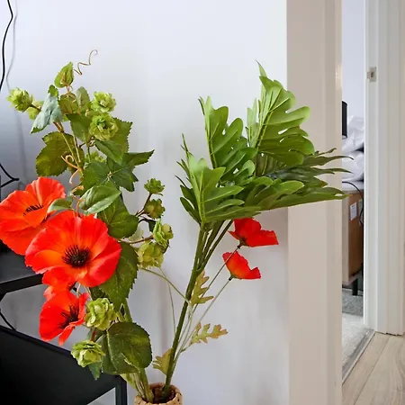 46 Luna With Free Parking *